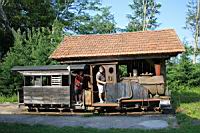 Locomotive ancienne (au chateau de Saint-Fargeau, Yonne) (14)